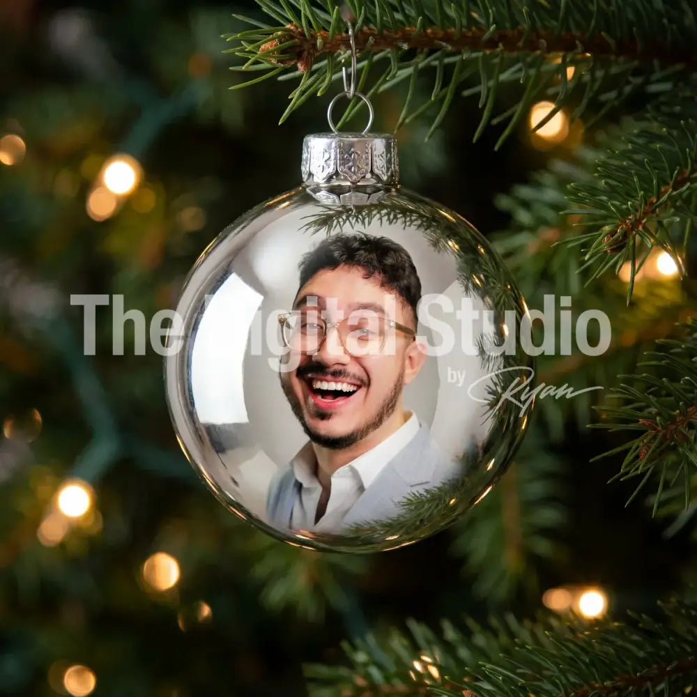 Silver Reflection Ornament AI Portrait Effect